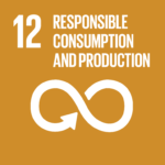 Responsible consumption and production UN Sustainability goal