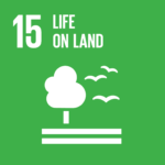 Life on land UN Sustainability goal